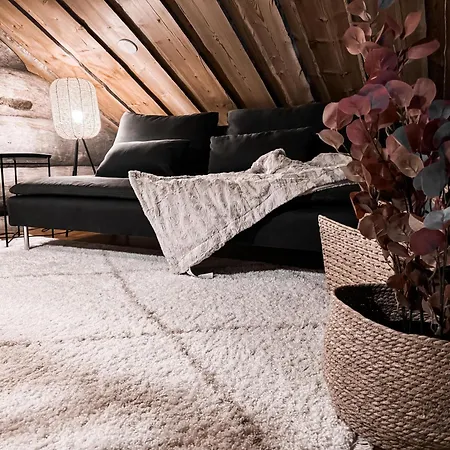 Βίλα Talvihovi 6